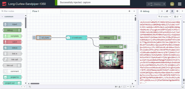 capturing images by passing payload "capturing images by passing payload"